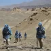 تېرو شپږو میاشتو کې د ناچاوده توکو له امله ۹۰ تنه مړه شوي دي