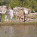 کورنیو چارو وزارت د بې جوازه ښکاري ټوپکو لرل منع کړل