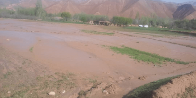 نړۍواله ټوله باید د طبیعي پېښو زیانمنو سره خپلې مرستې ونه سپموي