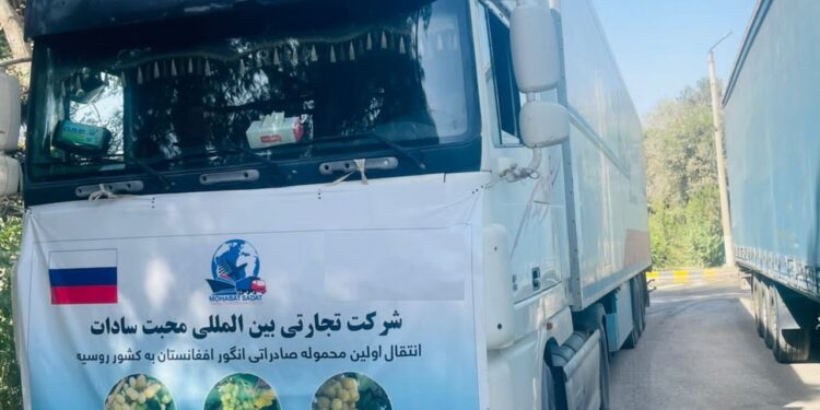 د لومړي ځل لپاره د بلخ انګور روسيې ته ولېږدول شول