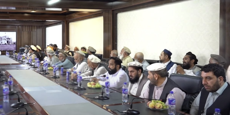 د پوهنتون استادان: د نجونو ښوونځي او پوهنتونونه دې پرانیستل شي