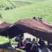 وردګو کې د کوچیانو او هزاره ګانو تر منځ ۲۰ کلنه شخړه هواره شوه