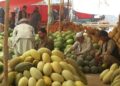 بغلان کې د خټکیو او هندواڼو حاصلات ډېر شوي
