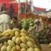 بغلان کې د خټکیو او هندواڼو حاصلات ډېر شوي