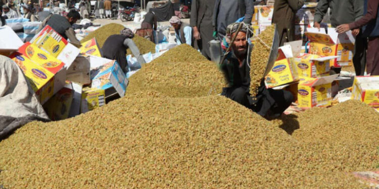 د هرات بڼوال: حکومت دې مميزو ته بازار ومومي