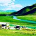بدخشان ته د بهرنيو سیلانیانو ورتګ زیات شوی دی