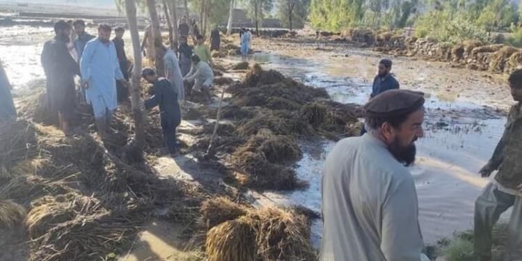 کډوالو نړیوال سازمان کونړ او ننګرهار کې له سېلاب ځپلو سره مرستې کړې