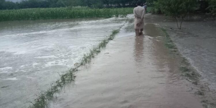 ننګرهار کې سېلابونو خلکو ته درانه زیانونه اړولي دي