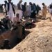 هرات کې د ۳۰۰ کسانو ډله ییزه جنازه وشوه
