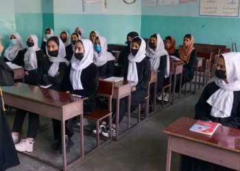 چارواکي: د نجونو د زده کړو مسئله به له یوې منطقي لارې حل کړو