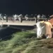 پاکستان کې د ترافیکي پېښو له امله ۳۲ کسانو ته مرګ ژوبله اوښتې ده