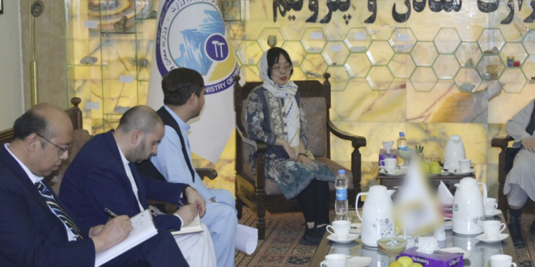 دلاور: د مس عینک پروژې د کار پیل لپاره هر ډول همکارۍ ته چمتو یو