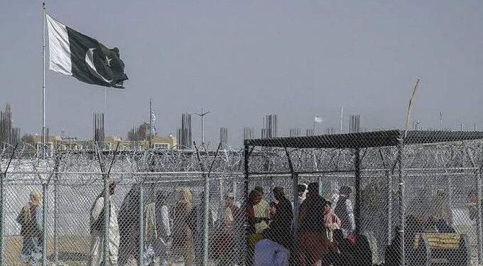 چارواکي: افغان کډوال دې په ابرو او عزت سره هېواد ته راستانه شي