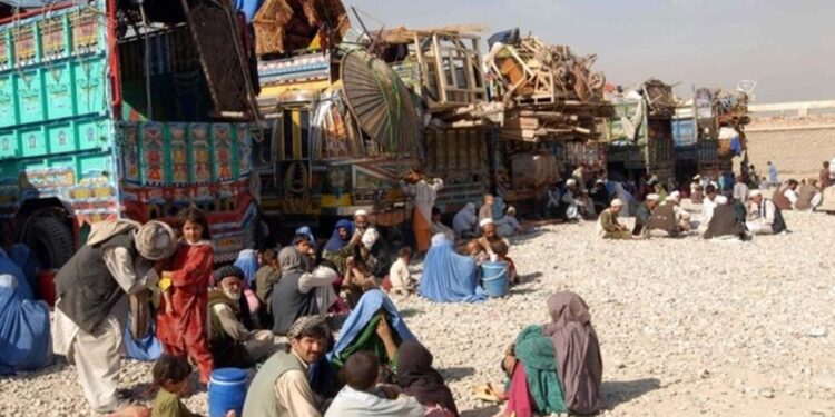 له پاکستانه د افغان کډوالو د ایستلو پلان ځنډېدو غوښتنه شوې ده
