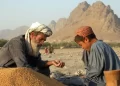 ډبلیو اېف پي: وچکالۍ د افغان بزګرانو لپاره ناورین رامنځته کړی