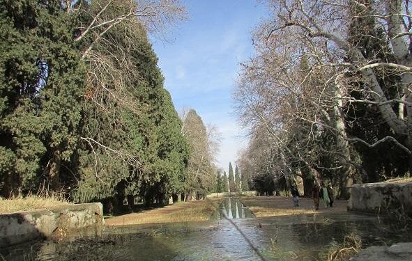ننګرهار کې د مملې لرغونی بڼ بیارغول کېږي