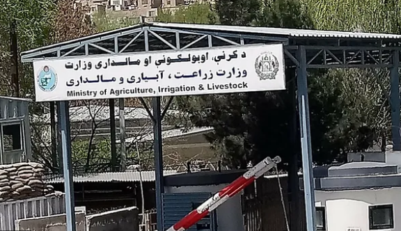 کرنې وزارت د ازبکستان د کرنې پوهنتون سره د همکاریو هوکړهلیک لاسلیک کړ