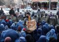 د ګیلپ تحقیقاتيادارې: ګڼ شمېر افغانان له اقتصادي ستونزو سره مخ دي