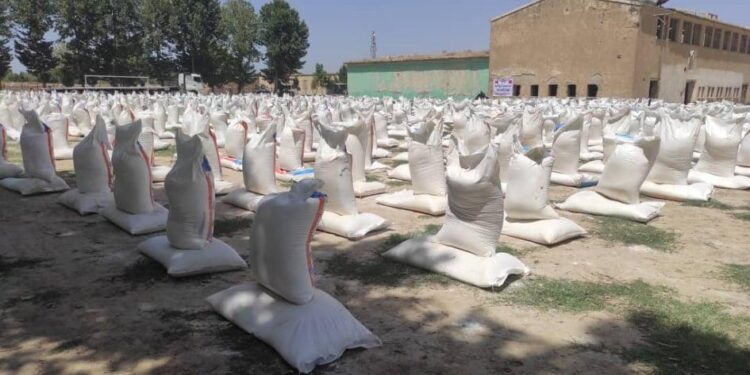 تخار کې نږدې ۳ زره کروندګرو ته اصلاح شوی تخم او سره ووېشل شول