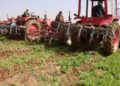 افغانستان کې د کوکنارو په کښت کې ۹۵ سلنه کموالی راغلی