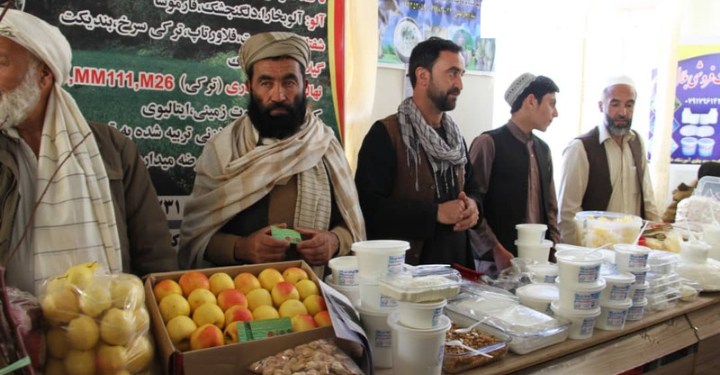 غزني کې د کرنیزو محصولاتو نندارتون پرانیستل شو