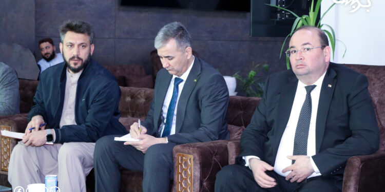 افغان او ترکمنستاني چارواکو برېښنا برخه کې پر دوه اړخیزو همکاریو ټینګار کړی