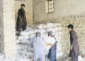 پروان کې له یوې کارخونې روسیې ته لسګونه ټنه ممیز صادر شوي