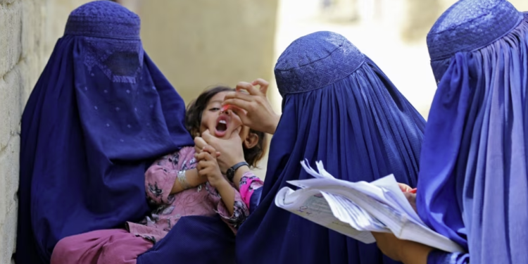 د کډوالو له راتګ سره د ګوزن ضد واکسینو کمپاینونه زیات شوي