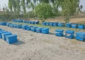 په کندهار کې د شاتو مچیو فارمونه زیات شوي