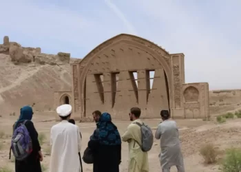 چارواکي: هېواد کې د سیلانیانو پر وړاندې شته ستونزې حل کوو