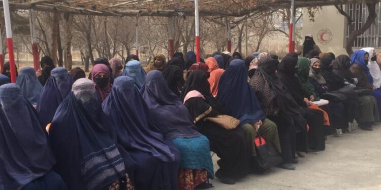 هېواد کې له ۵۰۰ کونډو مېرمنو سره د مرستو لړۍ پیل شوه