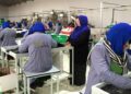 بلخ کې له تېر کال راهیسې نږدې ۲۰۰ فابریکو فعالیت پيل کړی