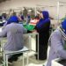 بلخ کې له تېر کال راهیسې نږدې ۲۰۰ فابریکو فعالیت پيل کړی