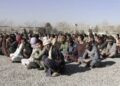غزني کې په نشه یي توکو د روږدو ۲۵۰ کسانو درملنه شوې