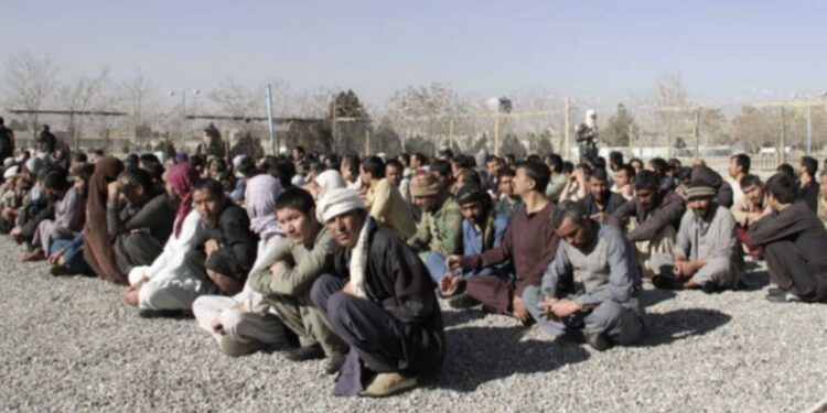 غزني کې په نشه یي توکو د روږدو ۲۵۰ کسانو درملنه شوې