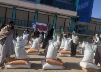 وردګو کې ۳۷۰۰ کروندګرو ته اصلاح شوی تخم او سره ووېشل شول