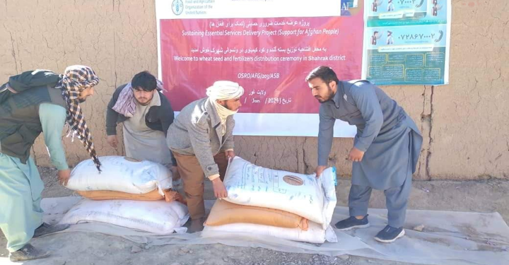 غور کې پر بزګرانو اصلاح شوي تخمونه ووېشل شول