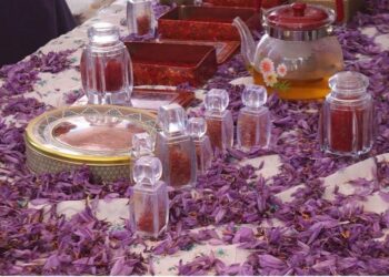 کندهار کې د زعفرانو د پروسس مرکز پرانیستل شو