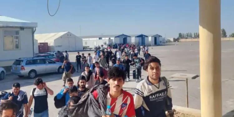 ایران ۲۰ زره افغان کډوال له خپلې خاورې ایستلي