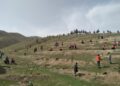 بغلان کې د نیالګیو کېنولو کمپاین پیل شو