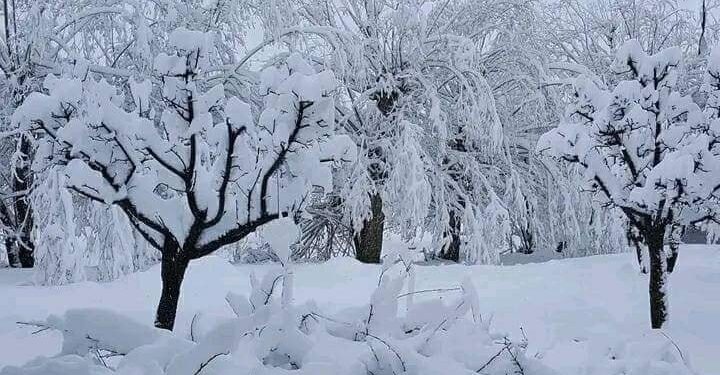 د هېواد په ۳۰ ولایتونو کې د باران او واورې اورېدو اټکل شوی