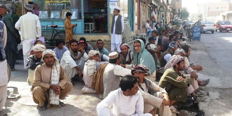 هېوا کې يو شمېر ځوانان د بې روزګارۍ کچې له لوړېدو اندېښمن دي