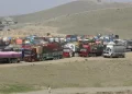 له پکتیا سږ کال د ۷۱ میلیونه ډالرو په ارزښت صادرات شوي