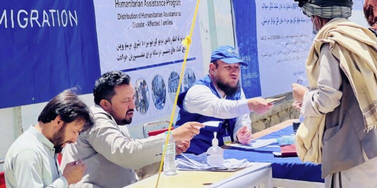 د کډوالۍ نړیوال سازمان پکتیا کې له ۲۵۰ کورنیو سره مرسته کړې