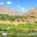 د پنجشېر د کرنې ریاست په عوایدو کې ۸۰ سلنه زیاتوالی راغلی