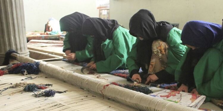 بامیانو کې د مسلکي زده کړو ۳ مرکزونه جوړ شوي