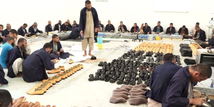 چارواکي: هېواد کې نږدې ۲۰ زره روږدي په حرفوي زدهکړو بوخت دي