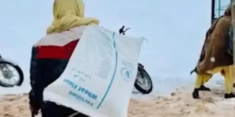 د هرات له ۳ زره زلزله ځپلو کورنیو سره د خوراکي توکو مرسته شوې