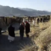 پکتیا کې د افغان او پاکستاني ځواکونو ترمنځ نښته روانه ده
