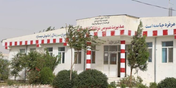 د هرات د ترافیکو مدیریت ۷۰۰ میلیونه افغانۍ عواید راټول کړي